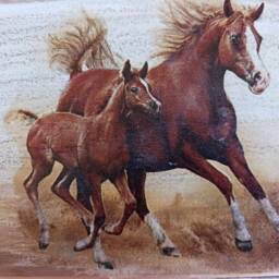 Wild Mustang Horse Art Farmhouse Wood Plank Wall Decor - thumbnail 3