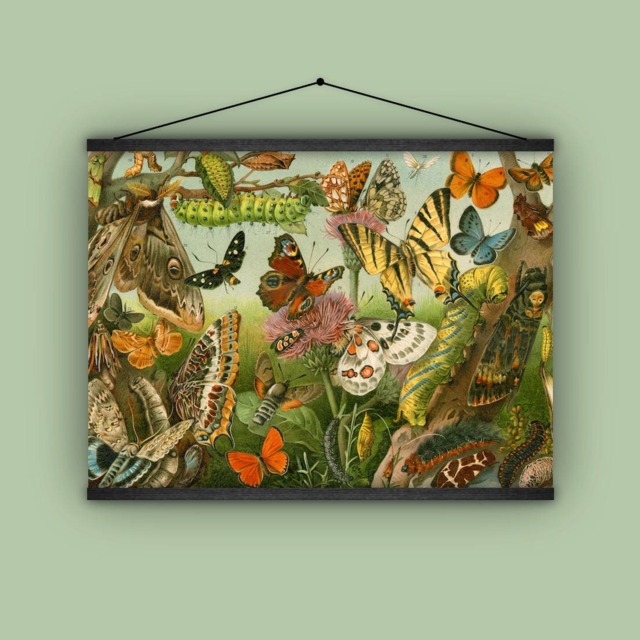 Gift For Her, Butterflies, Insects, Cocoons, Bugs, Garden, Nature, Natural History, Wall Hanging, Banner, Home Decor, 1880S - image 1