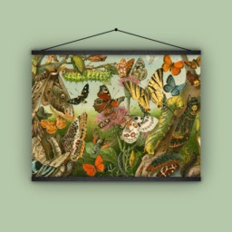 Gift For Her, Butterflies, Insects, Cocoons, Bugs, Garden, Nature, Natural History, Wall Hanging, Banner, Home Decor, 1880S - thumbnail 1