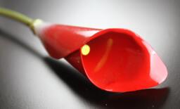 Red Metal Calla Lily Steel Anniversary Bouquet