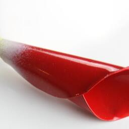 Red Metal Calla Lily Steel Anniversary Bouquet - thumbnail 4