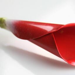 Red Metal Calla Lily Steel Anniversary Bouquet - thumbnail 3
