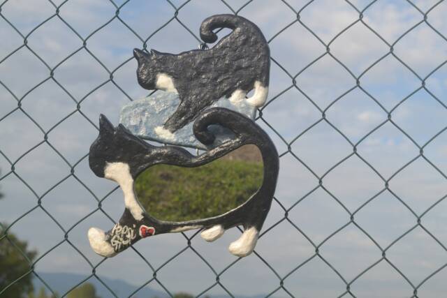 Pepsi Girl Cat Anniversary Mirror & Key Holder, Home Decor - image 1