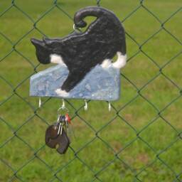 Pepsi Girl Cat Anniversary Mirror & Key Holder, Home Decor - thumbnail 3