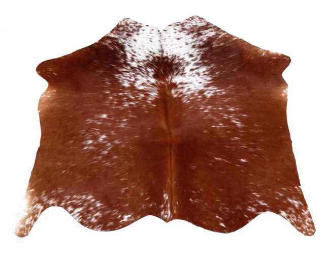 Natural Small Brown & White Cowhide - Hair-On Leather Rug For Modern Spaces - 33x30 Inches - image 1