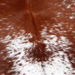 Natural Small Brown & White Cowhide - Hair-On Leather Rug For Modern Spaces - 33x30 Inches - thumbnail 3