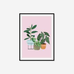 Trio Of Houseplants Print - Houseplant Print, Cute Plant Art, Colourful Boho Lover Gift, Living Room Prints, Bedroom Art - thumbnail 3
