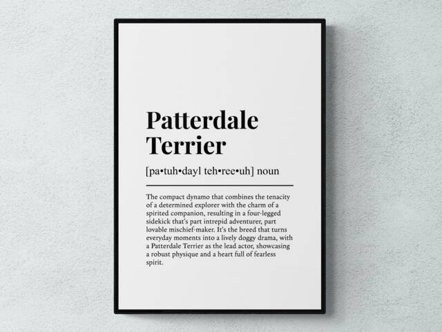Patterdale Terrier Funny Definition Dog Wall Art Print - image 1