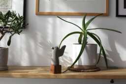 Concrete & Oak Bird Sculpture - Handmade Figurine Art Home Decor - thumbnail 1