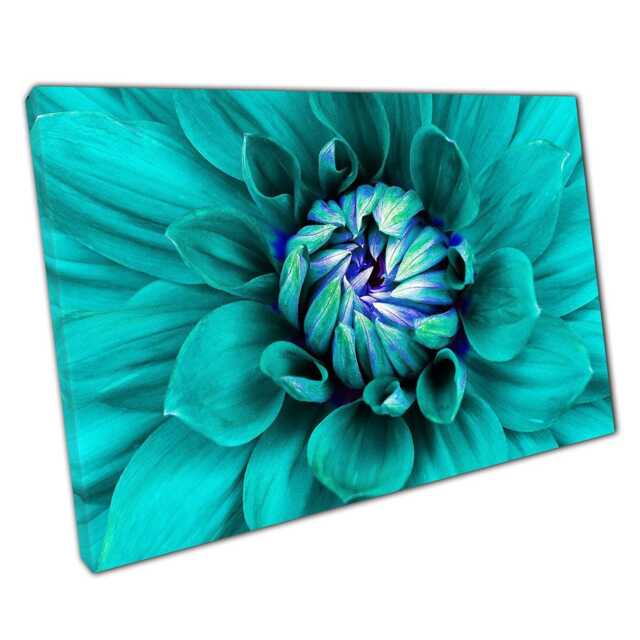 Cyan Blue Dahlia Flower Macro Canvas Print Floral Photography Wall Art For Home Office Decor - image 1