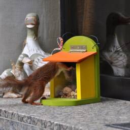 Squirrel Feeding Box Bird Feeder Red/Green - thumbnail 3