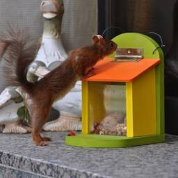 Squirrel Feeding Box Bird Feeder Red/Green - thumbnail 4
