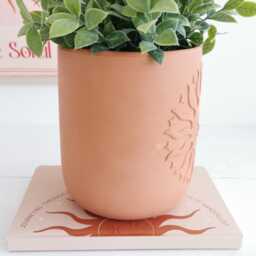 Summer Sun Terracotta Plant Pot, Spring Decor, Gifts, Lover Kitchen New Home Gift - thumbnail 3