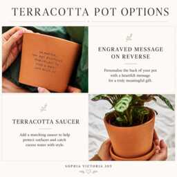 Personalized Terracotta Plant Pot - Birthday Gift For Gardener - thumbnail 4