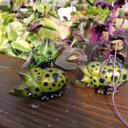 Eastern Hercules Beetle Christmas Ornament - thumbnail 1