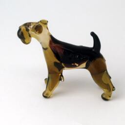 Irish Airedale - thumbnail 2