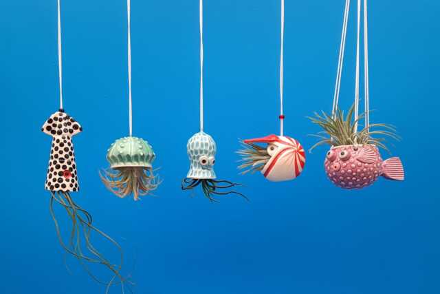 An Octopus Garden, Collection Of 5 Mini Hanging Air Planters - image 1