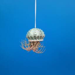 An Octopus Garden, Collection Of 5 Mini Hanging Air Planters - thumbnail 3