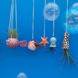 An Octopus Garden, Collection Of 5 Mini Hanging Air Planters - thumbnail 4