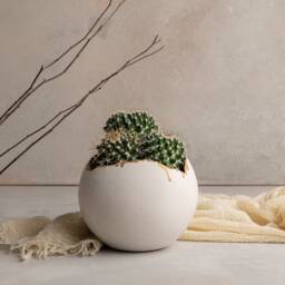 White & Gold Ceramic Planter For Succulent, Decorative Indoor Pot, Plants Planters, Elegant Eclectic Planter, Living Room Decor - thumbnail 2