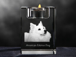American Eskimo Dog, Crystal Candlestick With Souvenir, Decoration, Limited Edition, Collection - thumbnail 1