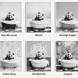 Black & White Panda Bear Shaking Head in A Bath Print, Bathing, Funny Bathroom Animal Bathtub, Tub Whimsy - thumbnail 3