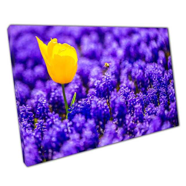 Vibrant Yellow Tulip Canvas Print Lavender Field Landscape Art For Home & Office Decor - image 1