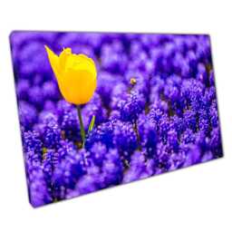 Vibrant Yellow Tulip Canvas Print Lavender Field Landscape Art For Home & Office Decor - thumbnail 1