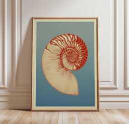 Nautilus Shell Wall Art, Modern Coastal Poster, Bold Spiral Sea Print, Nautical Ocean Decor, Red & Blue Minimalist Artwork - thumbnail 1