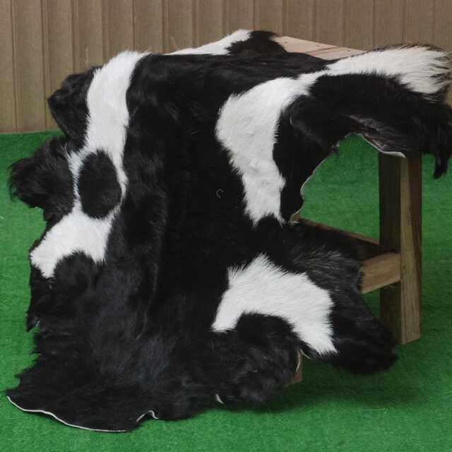 Black & White Goat Skin Rug - Decorative Hair-On Hide - 37x24 Inches - image 1