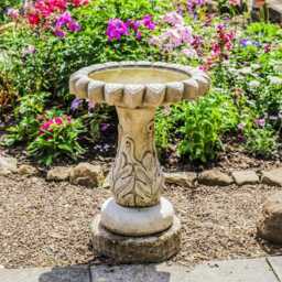 Classic Daisy Design Birdbath Garden Ornament - thumbnail 1