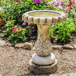 Classic Daisy Design Birdbath Garden Ornament - thumbnail 2