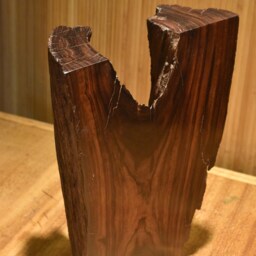 Desert Ironwood Sculpture - No. 3 - thumbnail 3