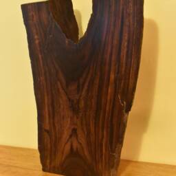 Desert Ironwood Sculpture - No. 3 - thumbnail 2