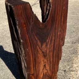 Desert Ironwood Sculpture - No. 3 - thumbnail 4