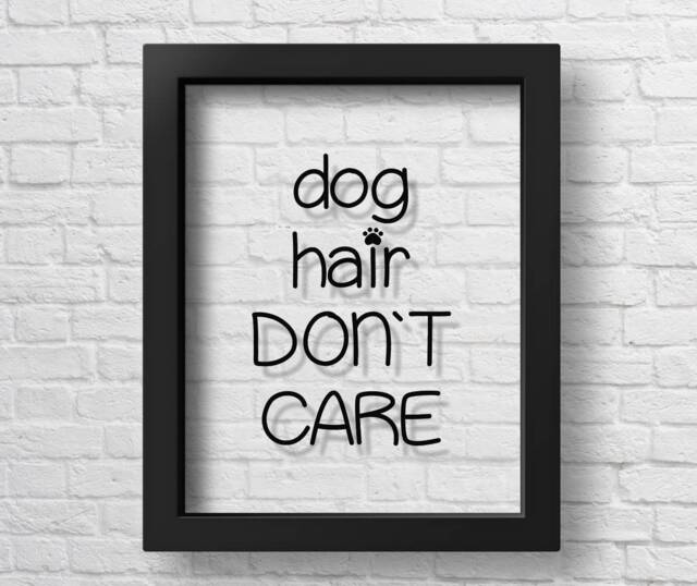 Transparent Dog Hair Don't Care Dogs Funny Poster Pets Home Wall Art Lover Gift Mom Owner Decor Room - image 1
