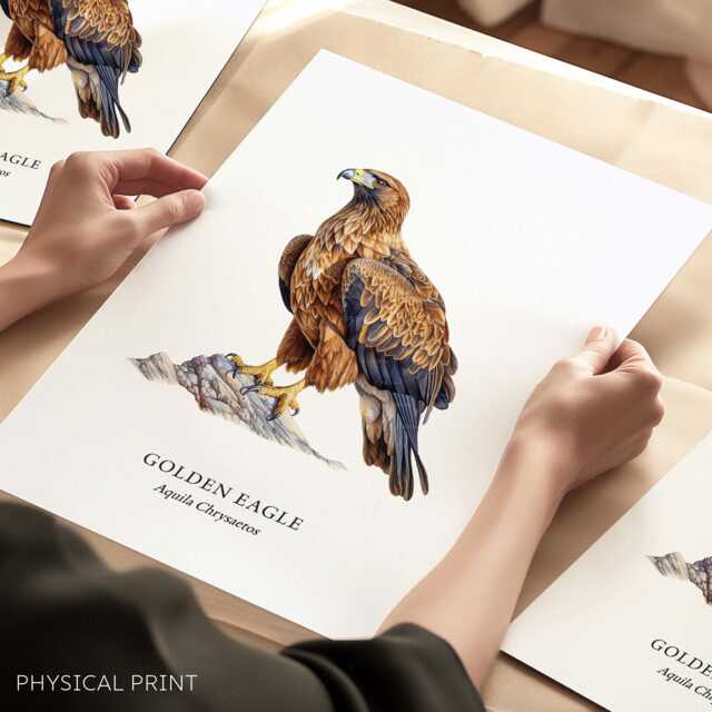Golden Eagle Bird Posters, Of Prey Collection, Wall Decor Illustrations - image 1