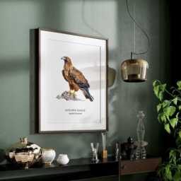 Golden Eagle Bird Posters, Of Prey Collection, Wall Decor Illustrations - thumbnail 3