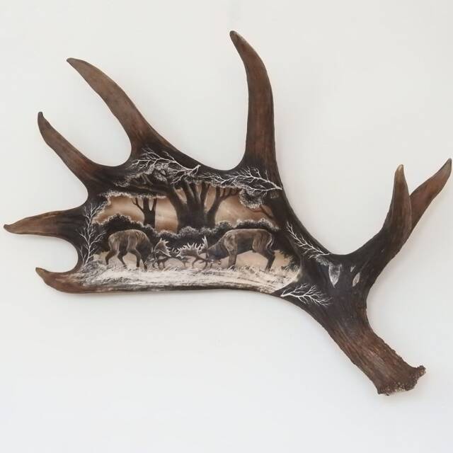 Real Moose Antler Carving Shows Fighting Fallow Deers - image 1