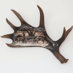 Real Moose Antler Carving Shows Fighting Fallow Deers - thumbnail 1