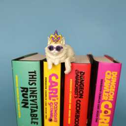 Princess Donut Figure, Dungeon Crawler Carl Inspired Bookshelf Decor, 3D Printed Bookish Cat, Litrpg Fantasy Shelf Display - thumbnail 4