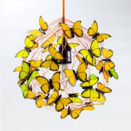 Orange Butterfly Chandelier Whimsical Autumn Colors Light Fixture