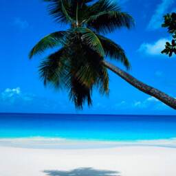 Cancun Hammock Made With Thick Nylon Thread - Traditional Mayan Hammocks Customs Taxes Included - thumbnail 4