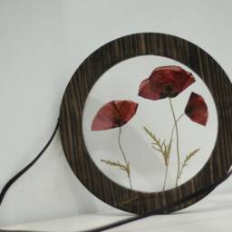 Preserved Flowers Art - Botanical Wall Framed Pressed Flower Frame Pressed Round Decor Framed Above Bed - thumbnail 4