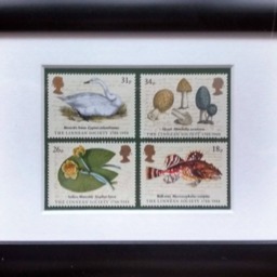 Biology, Linnean Society Stamps Mint Framed From 1988 - thumbnail 2