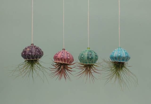 Mini Jellyfish Hanging Air Planter - image 1
