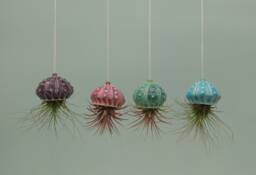 Mini Jellyfish Hanging Air Planter - thumbnail 1