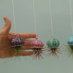 Mini Jellyfish Hanging Air Planter - thumbnail 3