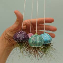Mini Jellyfish Hanging Air Planter - thumbnail 2