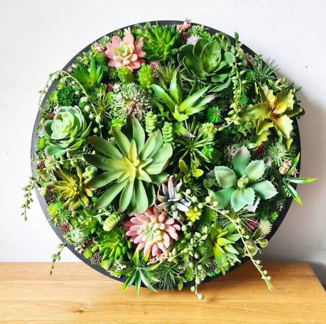 Round Faux Succulent 3D Wall Art Modern Framed Realistic Plant Decor Home Or Business - image 1